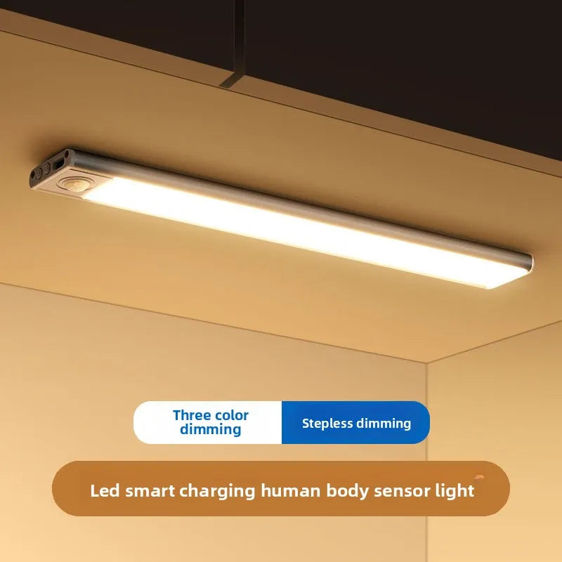 Proper main lights, 29052026.webp