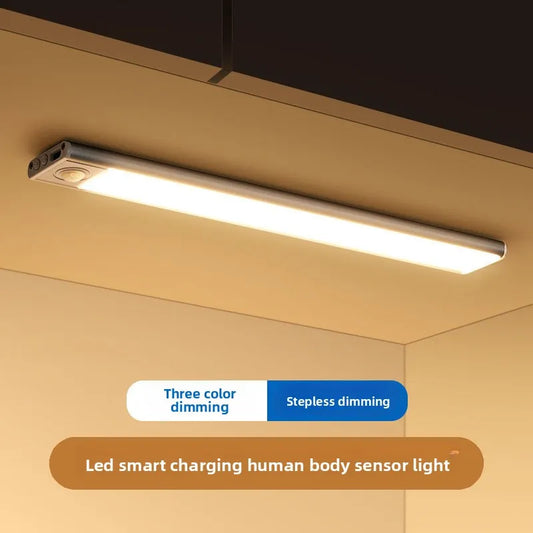 Proper main lights, 29052026.webp